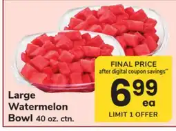 ACME Large Watermelon Bowl offer