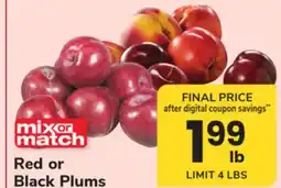 ACME Red or Black Plums offer