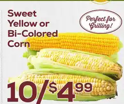 DeCicco & Sons Sweet Yellow or Bi-Colored Corn offer