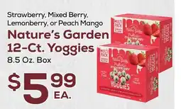 DeCicco & Sons Nature's Garden 12-Ct. Yoggies offer