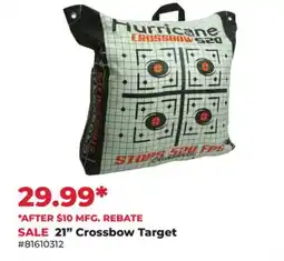 Runnings 21 Crossbow Target offer