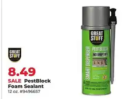 Runnings Great Stuff PestBlock Foam Sealant offer