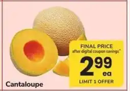 Safeway Cantaloupe offer