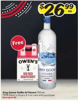 Winn Dixie Grey Goose Vodka & Flavors offer