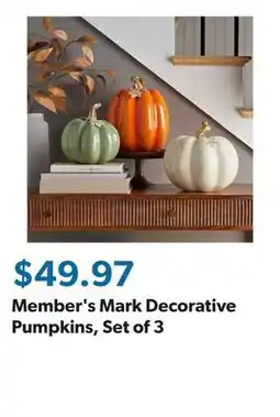 Sam's Club Member's Mark Decorative Pumpkins, Set of 3 offer