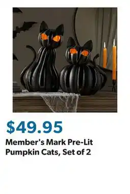 Sam's Club Member's Mark Pre-Lit Pumpkin Cats, Set of 2 offer