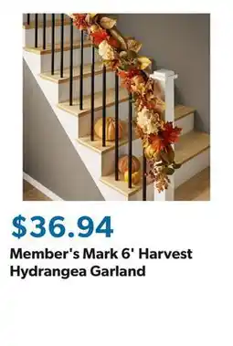 Sam's Club Member's Mark 6' Harvest Hydrangea Garland offer