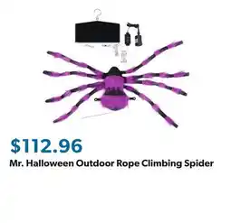 Sam's Club Mr. Halloween Outdoor Rope Climbing Spider offer