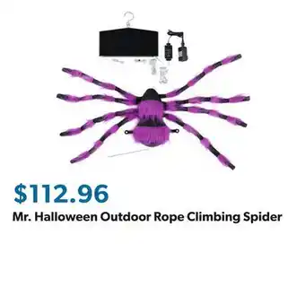 Sam's Club Mr. Halloween Outdoor Rope Climbing Spider offer