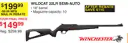 Dunham's Sports WILDCAT 22LR SEMI-AUTO offer