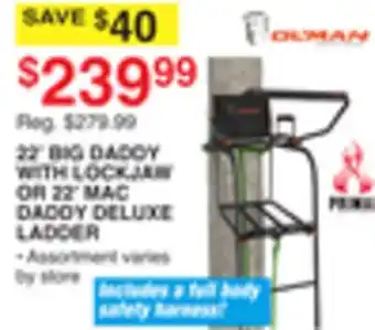 Dunham's Sports 22' BIG DADDY WITH LOCKJAW OR 22' MAC DADDY DELUXE LADDER offer