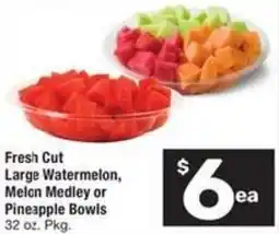 Albertsons Fresh cut large watermelon, melon medley or pineapple bowls offer
