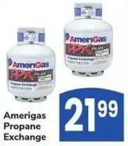 Albertsons Amerigas Propane Exchange offer