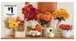 Dollar General Harvest Florals offer