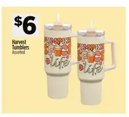 Dollar General Harvest Tumblers offer