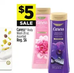 Dollar General Softsoap Hand Soap, Irish Spring or Speed Stick Deodorant offer