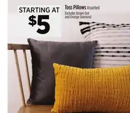 Dollar General Toss Pillows offer