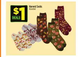 Dollar General Harvest Socks offer