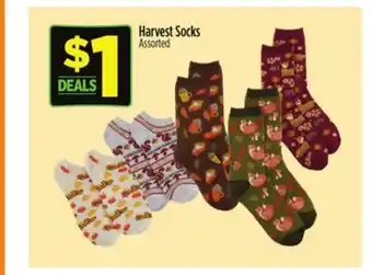Dollar General Harvest Socks offer