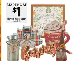 Dollar General Harvest Indoor Decor offer