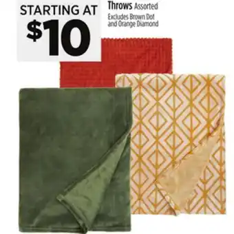 Dollar General Throws offer