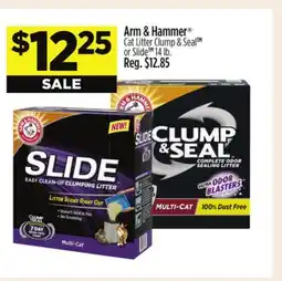Dollar General Arm & Hammer Cat Litter Clump & Seal TM or Slide offer