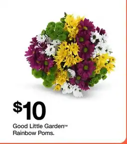Target Good Little Garden Rainbow Poms offer