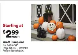 Michaels Craft Pumpkins by Ashland offer
