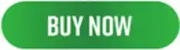 Big 5 Bon Voyage Memory Foam Travel Neck Pillow offer