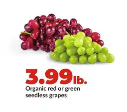 Hy-Vee Organic red or green seedless grapes offer