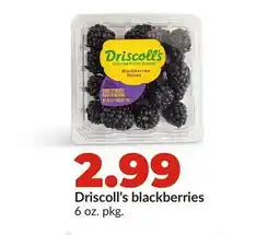 Hy-Vee Driscoll's blackberries offer