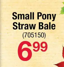 Ace Hardware Small Pony Straw Bale offer