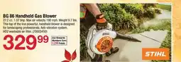 Ace Hardware BG 86 Handheld Gas Blower offer
