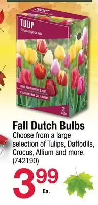 Ace Hardware Fall Dutch Bulbs offer