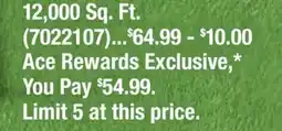 Ace Hardware 12, 000 Sq. Ft offer