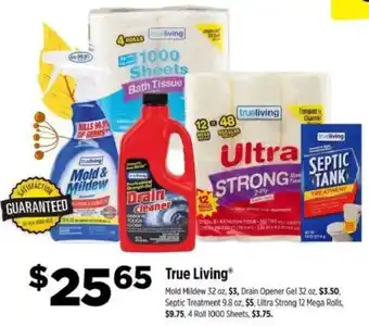 Dollar General True Living Mold Mildew or Drain Opener Gel offer