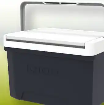 Family Dollar Igloo Cooler offer