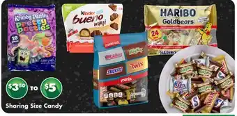 Dollar Tree Sharing Size Candy offer