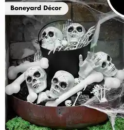 Dollar Tree Boneyard Décor offer