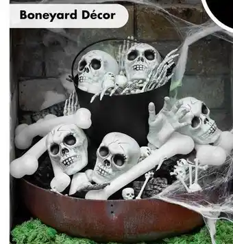 Dollar Tree Boneyard Décor offer