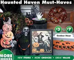 Dollar Tree Outdoor Décor offer