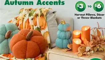 Dollar Tree Harvest Pillows, Décor or Throw Blankets offer