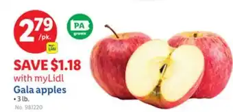 Lidl Gala apples offer