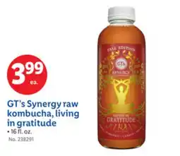 Lidl GT's Synergy raw kombucha, living in gratitude offer