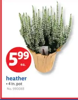 Lidl heather offer