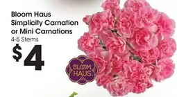 Ralphs Bloom Haus Simplicity Carnation or Mini Carnations offer