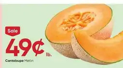 Stater Bros Cantaloupe offer