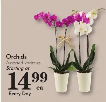 Pavilions Orchids offer