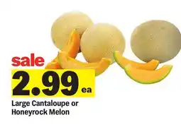 Meijer Large Cantaloupe or Honeyrock Melon offer