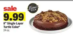 Meijer 8 Single Layer Turtle Cake offer